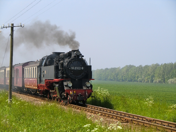 Historische Schmalspurbahn "Molli", (Bad Doberan - Heiligendamm - Kühlungsborn)