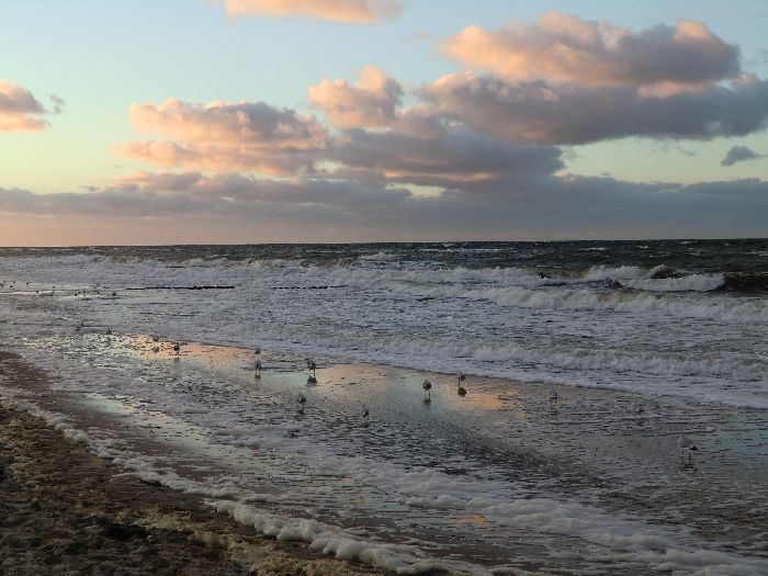Wind und Wellen an der Ostsee